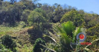 Idosa de 95 anos desaparece em mata em Caeté e bombeiros fazem buscas