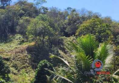 Idosa de 95 anos desaparece em mata em Caeté e bombeiros fazem buscas