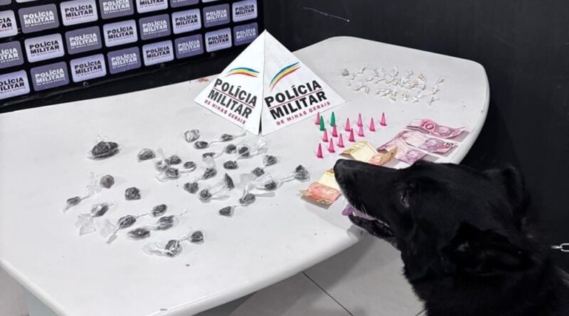 Itabira – Polícia Militar apreende adolescente por tráfico ilícito de drogas