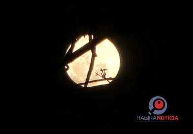Eclipse lunar parcial vai esconder 96% da Lua na madrugada desta sexta-feira