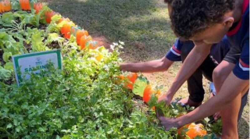 Agro na Escola une educação e prática no campo em Belo Oriente