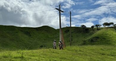 Eletrificação rural recebe investimentos