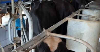 Potência leiteira enfrenta saída de produtores