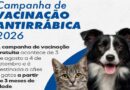 Prefeitura de Itabira inicia vacinação antirrábica com previsão de imunizar mais de 10 mil animais
