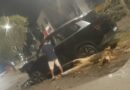 BYD é abandonado após derrubar árvores na Avenida das Rosas, em Itabira
