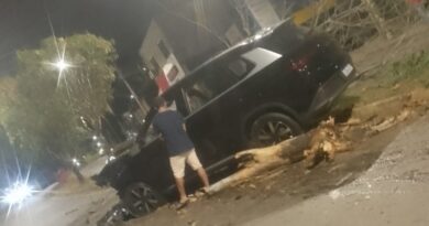 BYD é abandonado após derrubar árvores na Avenida das Rosas, em Itabira
