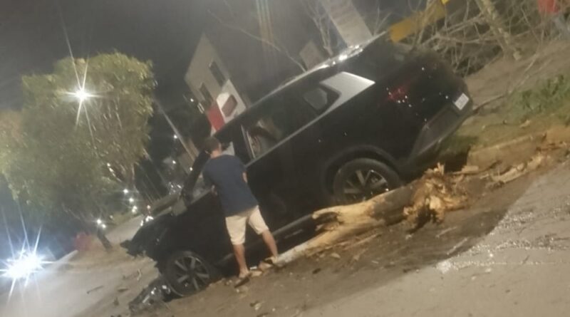 BYD é abandonado após derrubar árvores na Avenida das Rosas, em Itabira