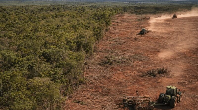 Operação investiga desmatamento do Norte