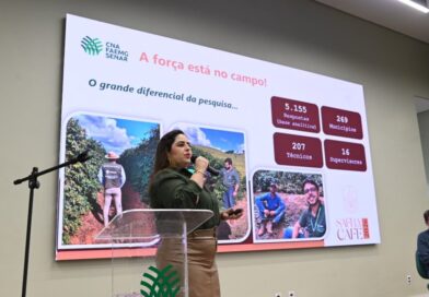 Safra de café em Minas Gerais deve alcançar 33,4 milhões de sacas em 2026